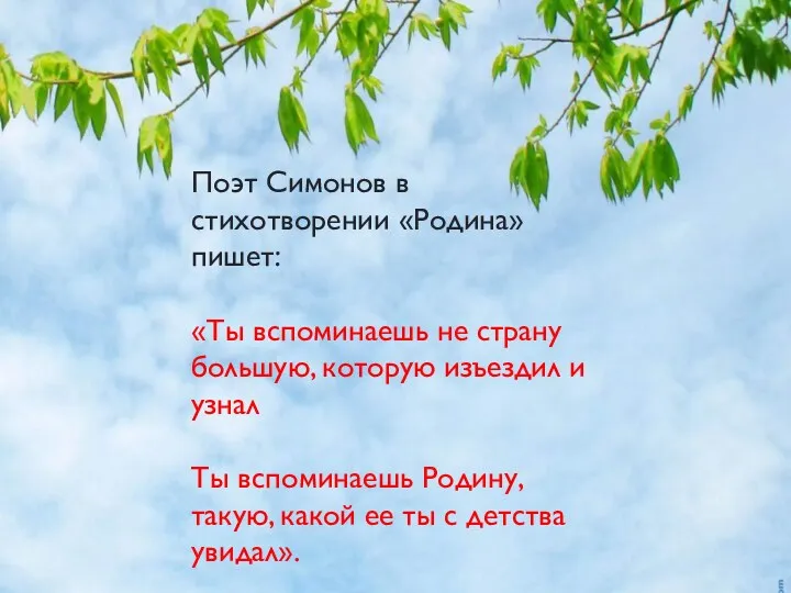 Поэт Симонов в стихотворении «Родина» пишет: «Ты вспоминаешь не страну большую, которую изъездил
