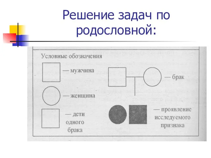 Решение задач по родословной: