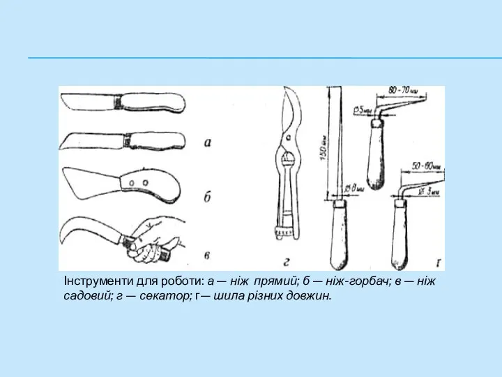 Інструменти для роботи: а — ніж прямий; б — ніж-горбач; в — ніж