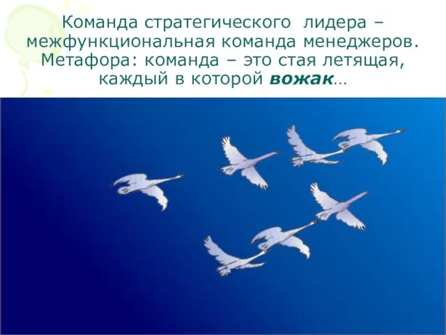 Команда стратегического лидера – межфункциональная команда менеджеров. Метафора: команда –