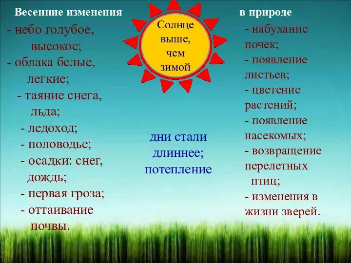 Весенние изменения в природе Солнце выше, чем зимой - набухание почек; - появление