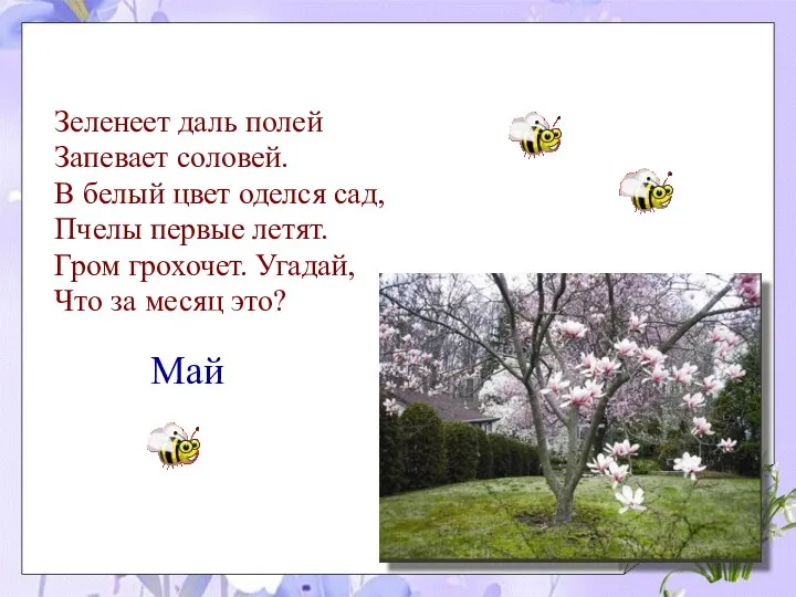 Зеленеет даль полей Запевает соловей. В белый цвет оделся сад, Пчелы первые летят.