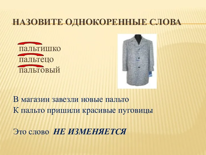 Назовите однокоренные слова пальтишко пальтецо пальтовый В магазин завезли новые