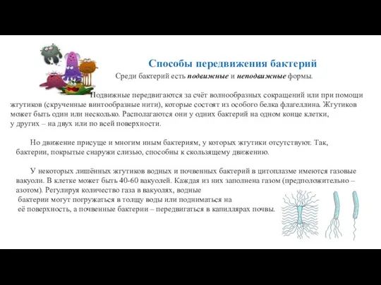 Способы передвижения бактерий Среди бактерий есть подвижные и неподвижные формы.