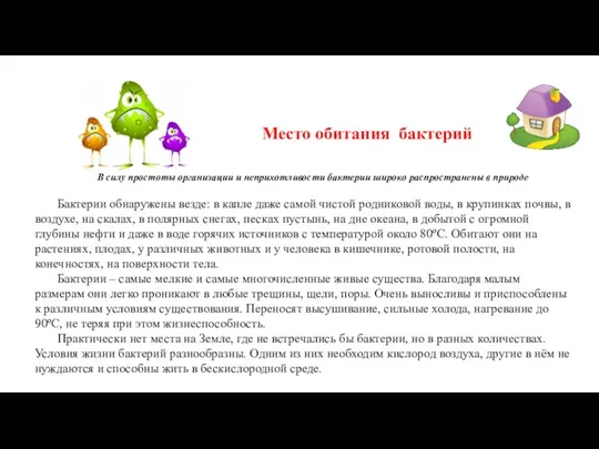 Место обитания бактерий В силу простоты организации и неприхотливости бактерии