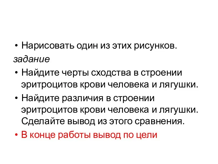 Нарисовать один из этих рисунков. задание Найдите черты сходства в строении эритроцитов крови