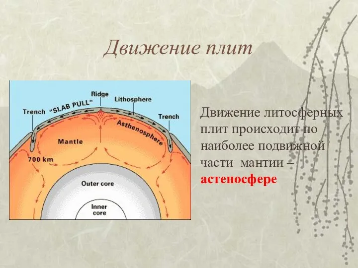 Движение плит Движение литосферных плит происходит по наиболее подвижной части мантии –астеносфере