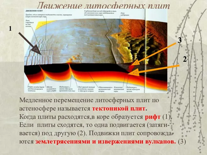 Движение литосферных плит Медленное перемещение литосферных плит по астеносфере называется