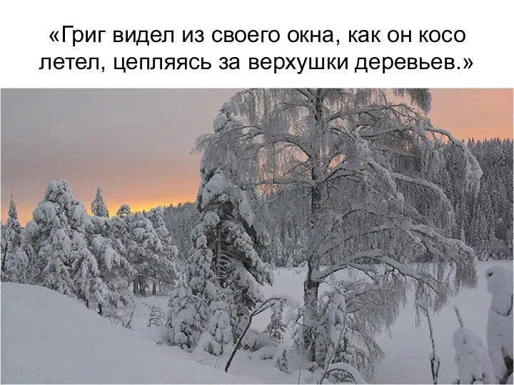 «Григ видел из своего окна, как он косо летел, цепляясь за верхушки деревьев.»