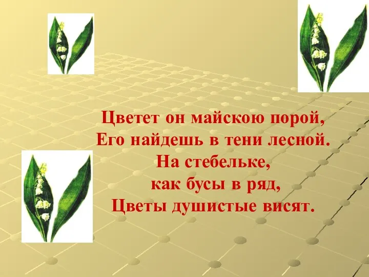 Цветет он майскою порой, Его найдешь в тени лесной. На