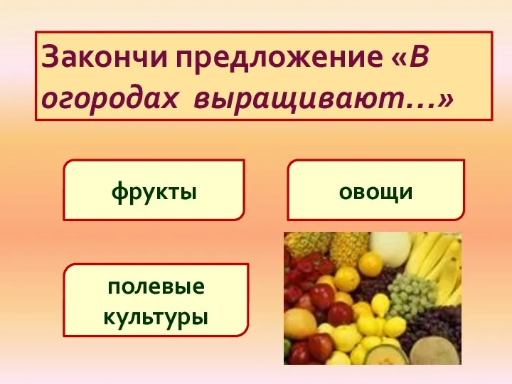 Закончи предложение «В огородах выращивают…» овощи фрукты полевые культуры