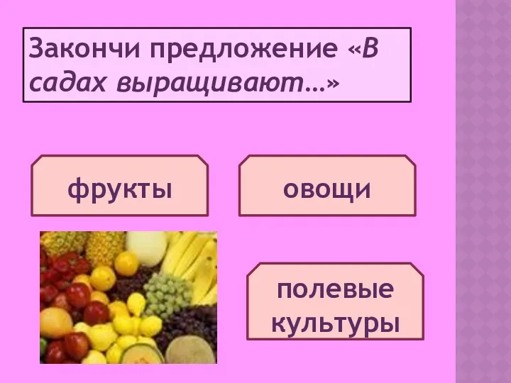 Закончи предложение «В садах выращивают…» фрукты овощи полевые культуры