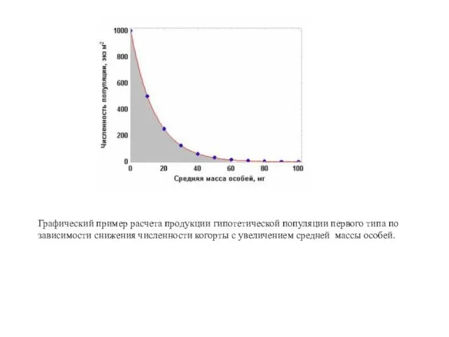 Графический пример расчета продукции гипотетической популяции первого типа по зависимости снижения численности когорты