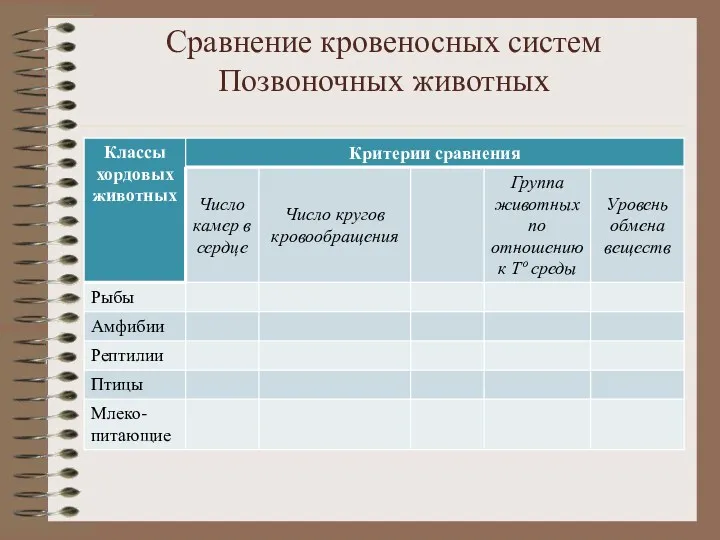 Сравнение кровеносных систем Позвоночных животных