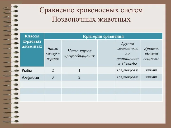 Сравнение кровеносных систем Позвоночных животных