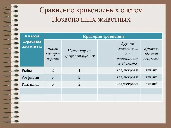 Сравнение кровеносных систем Позвоночных животных