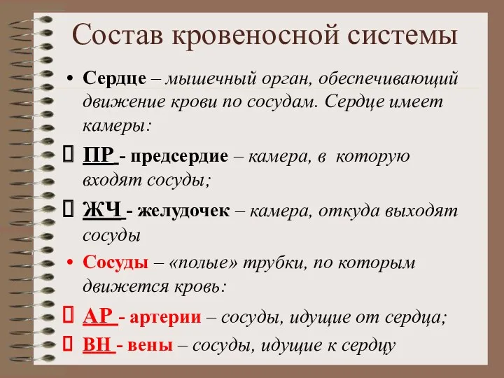 Состав кровеносной системы Сердце – мышечный орган, обеспечивающий движение крови