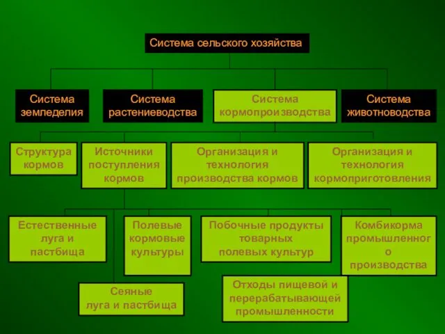 Система растениеводства Система кормопроизводства Система животноводства Система земледелия Естественные луга