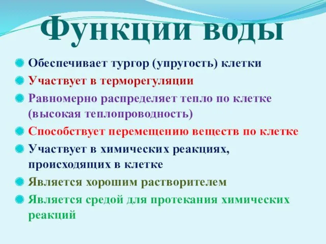 Функции воды Обеспечивает тургор (упругость) клетки Участвует в терморегуляции Равномерно