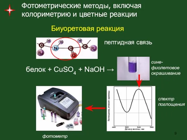 Фотометрические методы, включая колориметрию и цветные реакции пептидная связь Биуоретовая реакция белок +