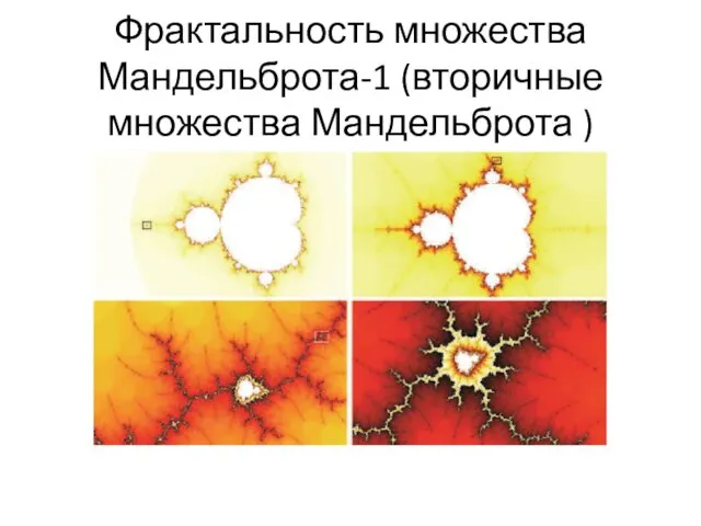 Фрактальность множества Мандельброта-1 (вторичные множества Мандельброта )