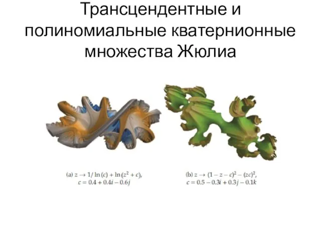 Трансцендентные и полиномиальные кватернионные множества Жюлиа