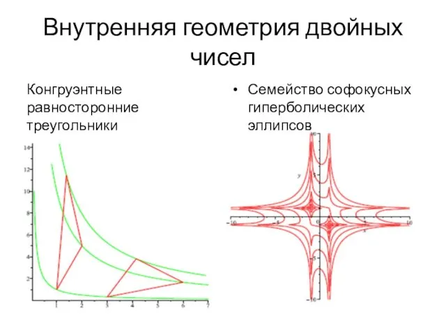 Внутренняя геометрия двойных чисел Конгруэнтные равносторонние треугольники Семейство софокусных гиперболических эллипсов