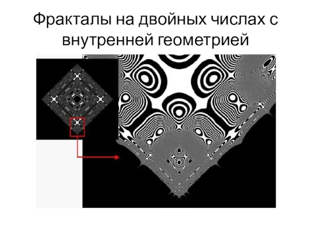 Фракталы на двойных числах с внутренней геометрией