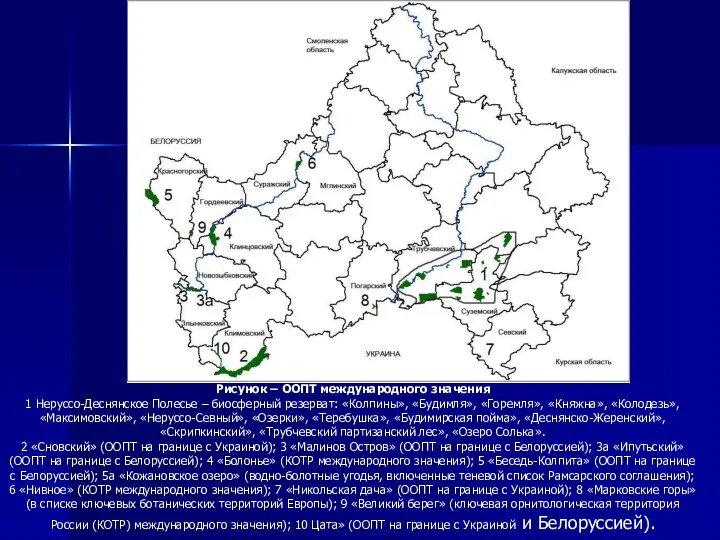 Рисунок – ООПТ международного значения 1 Неруссо-Деснянское Полесье – биосферный резерват: «Колпины», «Будимля»,