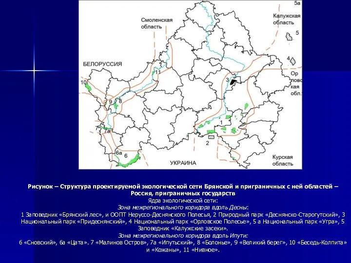Рисунок – Структура проектируемой экологической сети Брянской и приграничных с ней областей –