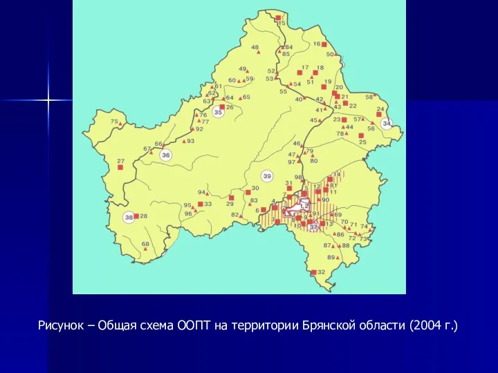 Рисунок – Общая схема ООПТ на территории Брянской области (2004 г.)