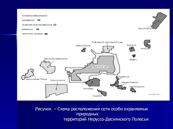 Рисунок – Схема расположения сети особо охраняемых природных территорий Неруссо-Деснянского Полесья