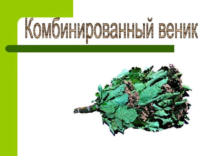 Комбинированный веник