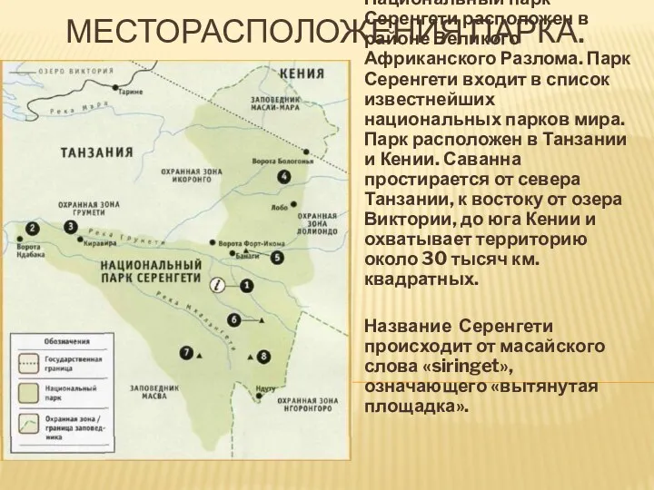 Месторасположения парка. Национальный парк Серенгети расположен в районе Великого Африканского