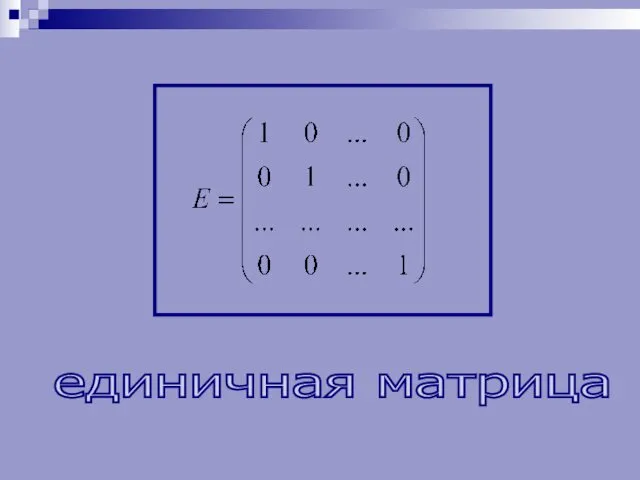 единичная матрица