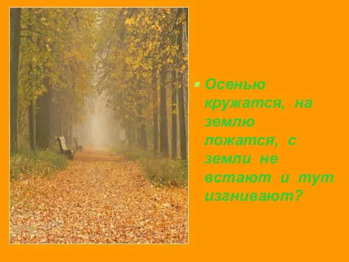 Осенью кружатся, на землю ложатся, с земли не встают и тут изгнивают?