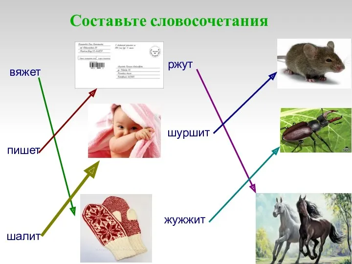 Составьте словосочетания вяжет пишет шалит ржут шуршит жужжит