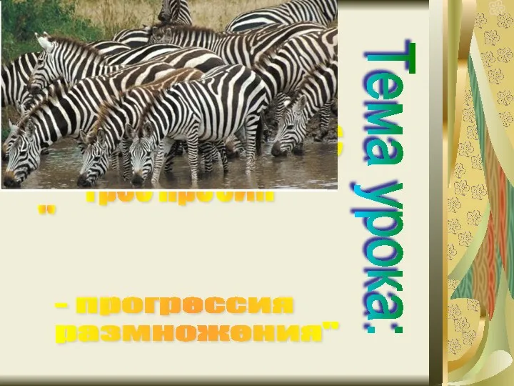 Тема урока: - прогрессия размножения" Анаграмма я метр ка гео ичес грес про сия "