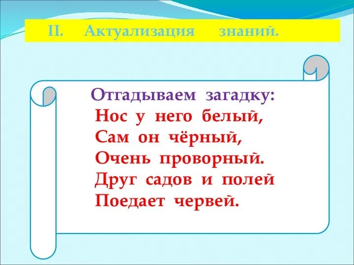 II. Актуализация знаний. Отгадываем загадку: Нос у него белый, Сам