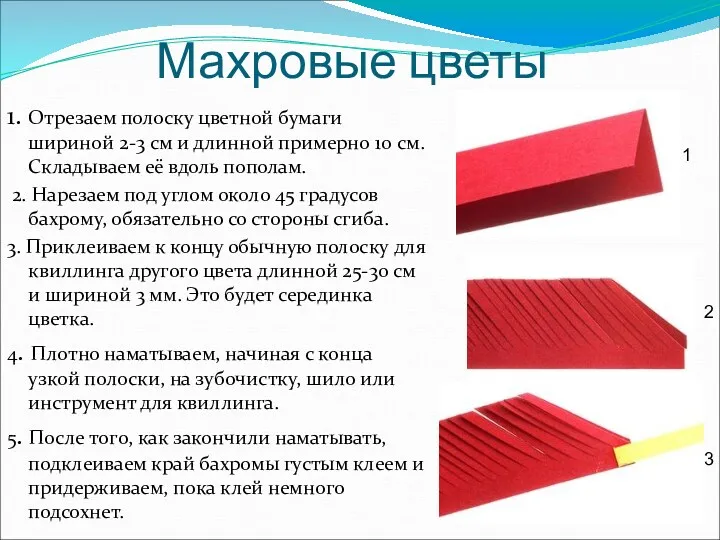 Махровые цветы 1. Отрезаем полоску цветной бумаги шириной 2-3 см