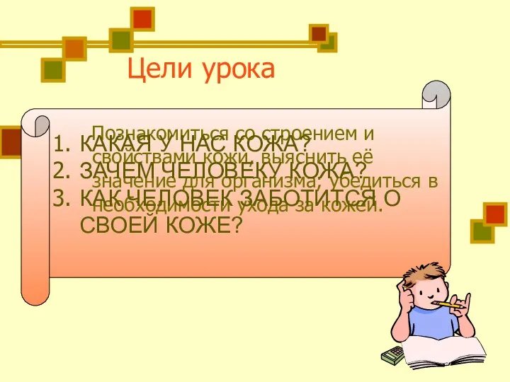 Цели урока Познакомиться со строением и свойствами кожи, выяснить её