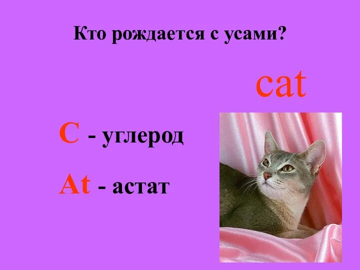 Кто рождается с усами? cat C - углерод At - астат