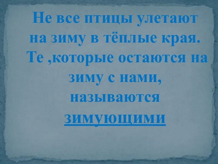 Не все птицы улетают на зиму в тёплые края. Те