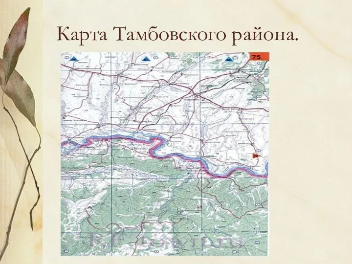 Карта Тамбовского района.