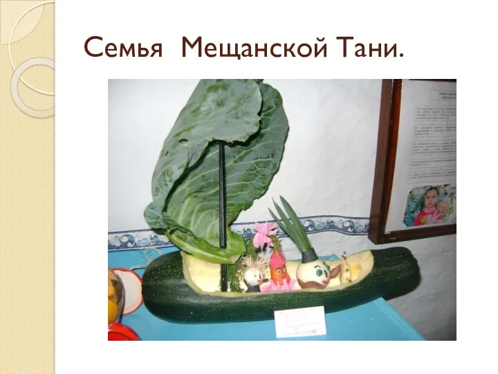 Семья Мещанской Тани.