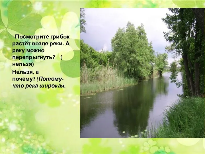 - Посмотрите грибок растёт возле реки. А реку можно перепрыгнуть?