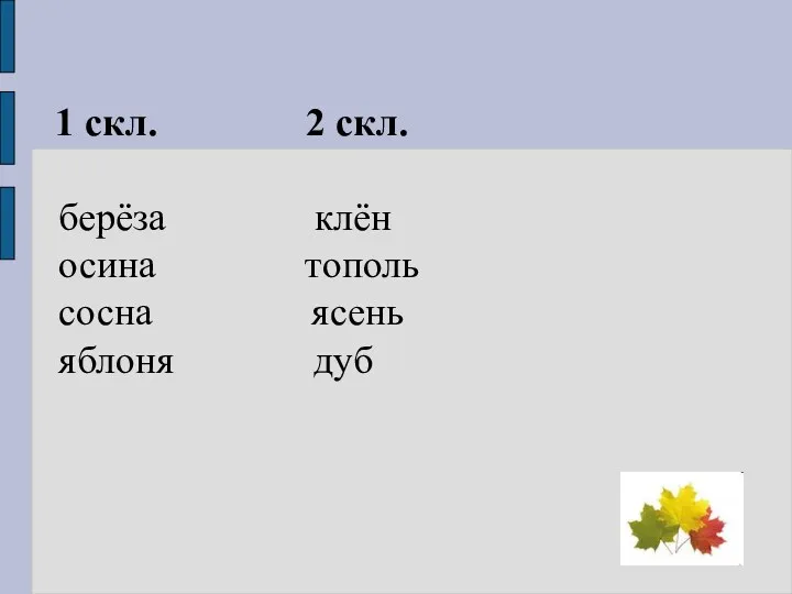 1 скл. 2 скл. берёза клён осина тополь сосна ясень яблоня дуб