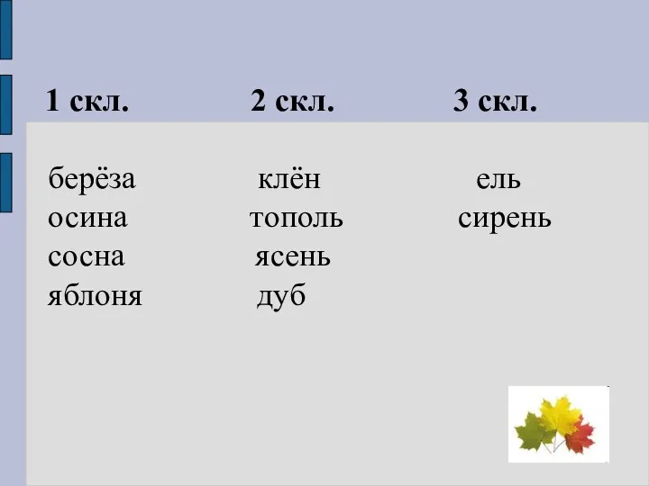 1 скл. 2 скл. 3 скл. берёза клён ель осина тополь сирень сосна ясень яблоня дуб