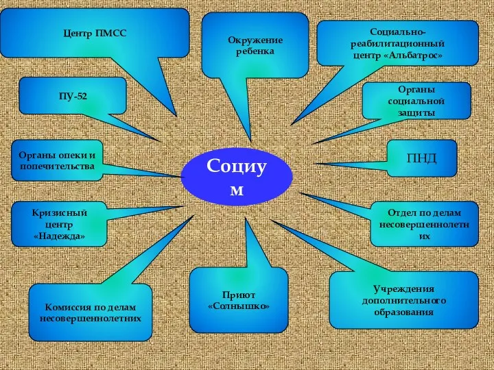 Социум ПУ-52 Центр ПМСС Окружение ребенка Органы опеки и попечительства