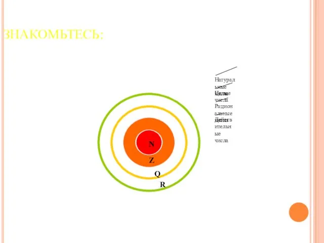 ЗНАКОМЬТЕСЬ: N Z Q R